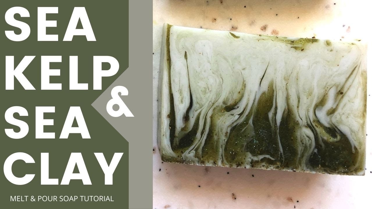 Sea Kelp & Sea Clay in a Coconut Milk Melt and Pour soap base.  How to use seaweed in soap