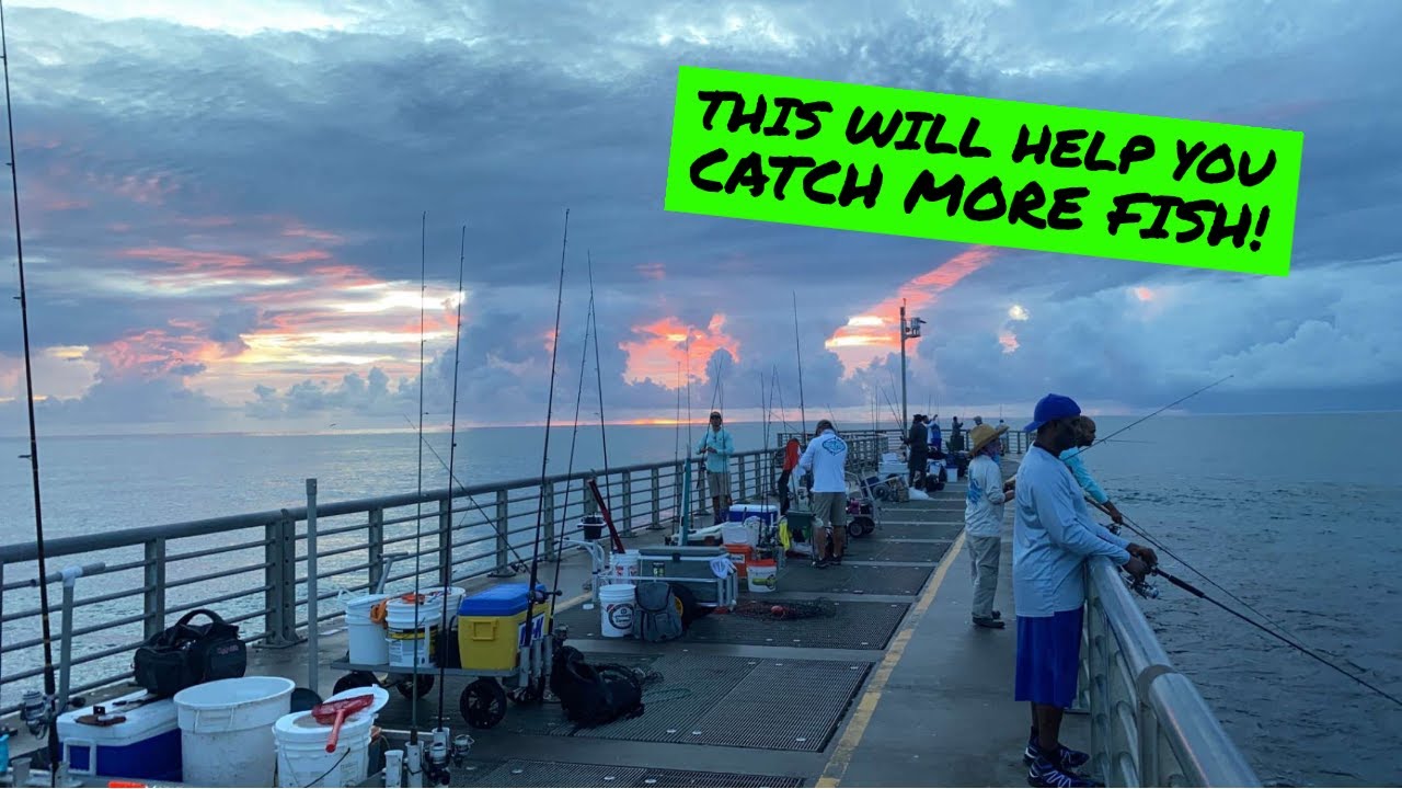 What You Need To Catch Fish At Sebastian Inlet
