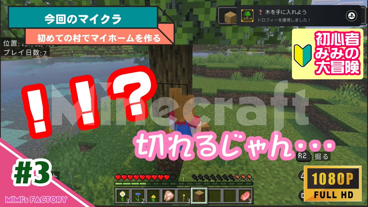 #3 『初めての村でマイホームを作る』（みみの大冒険）