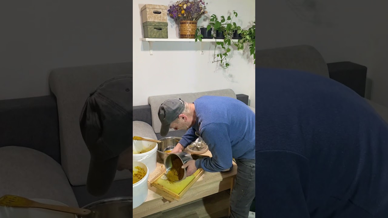 Zobaczcie jak wkładam pyłek do ramek. #bee#beekeeping #beekeeper