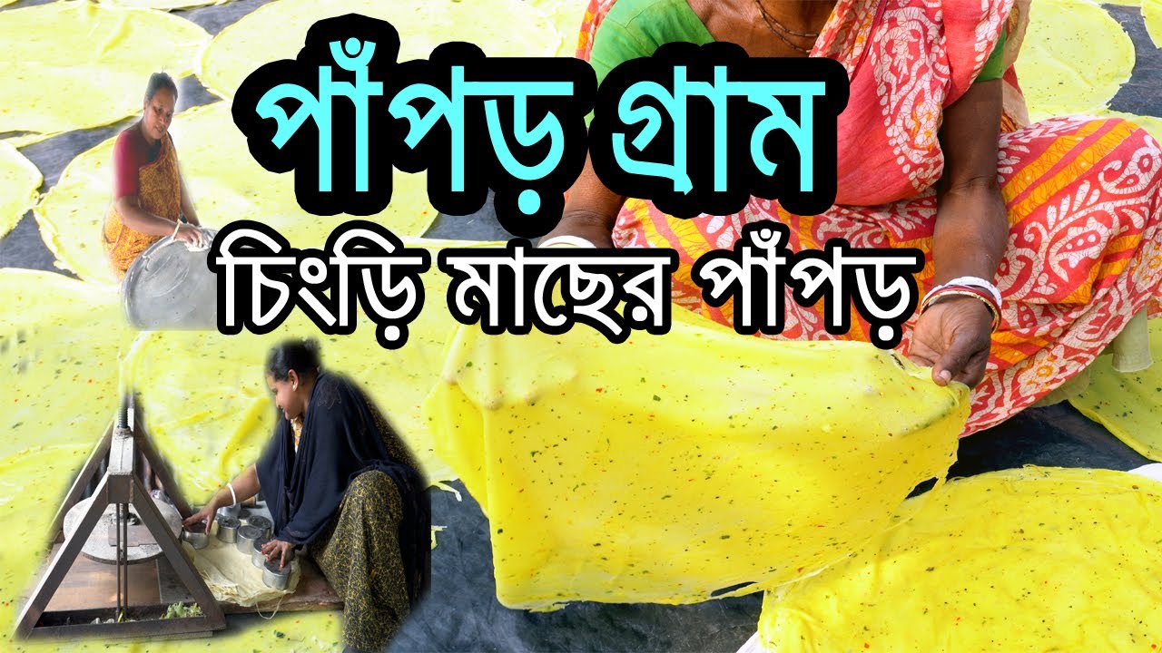 এই দিলখুশ পাঁপড় তৈরী,এই গ্রামে প্রায় 200 টি পরিবারের মহিলাদের জীবিকাই হলো পাঁপড় তৈরী  Papor Gram