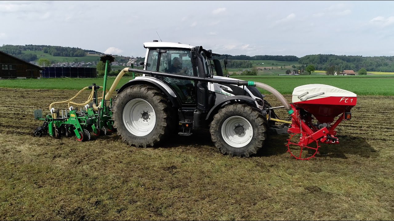 Maissaat Strip-Till direkt ins Grasland mit leichten Maschinen