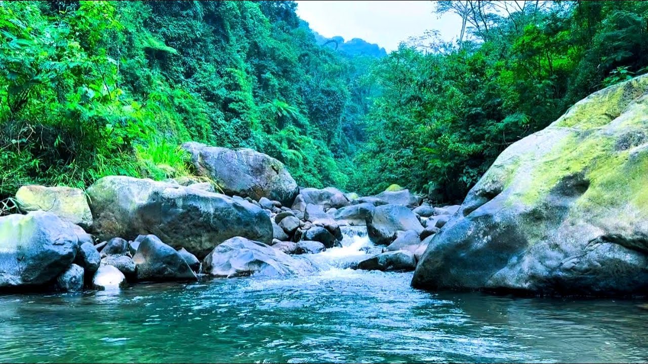 🟢 Beautiful Mountain River Flowing Sound ‼️ Linville River Trout Fishing