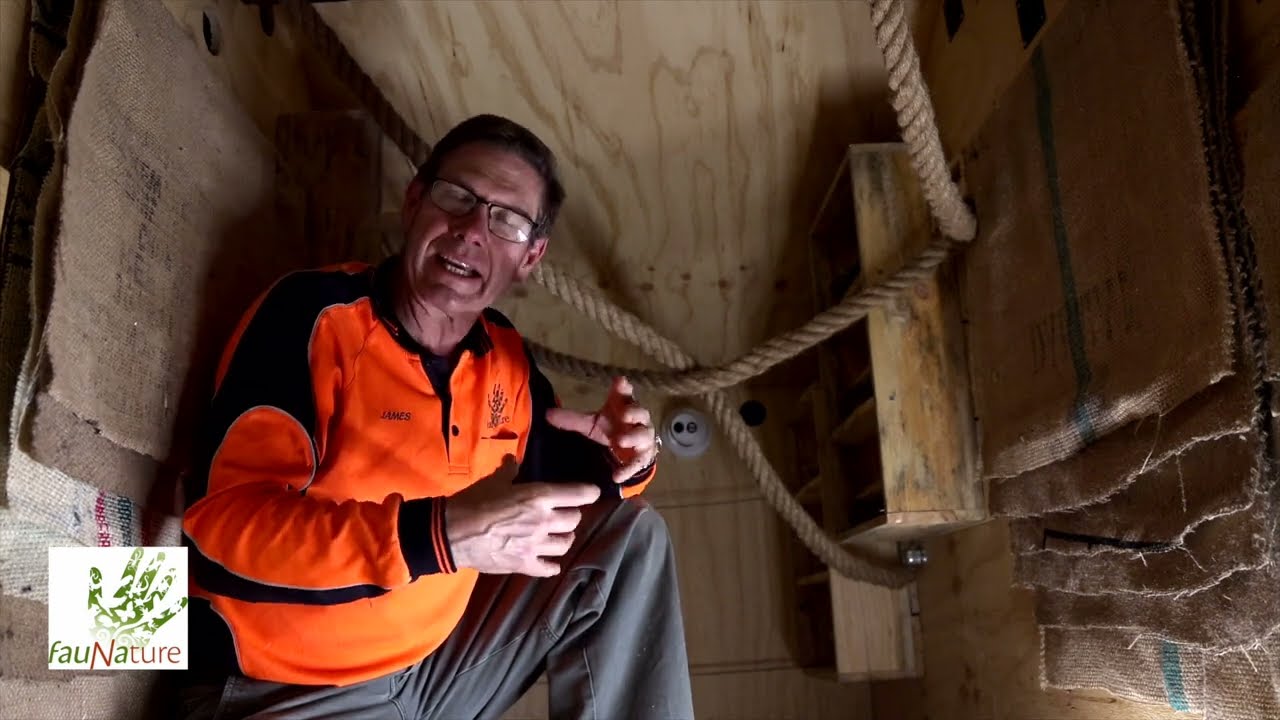 Experimental Bat Roost/Condo in the roof space of a house.