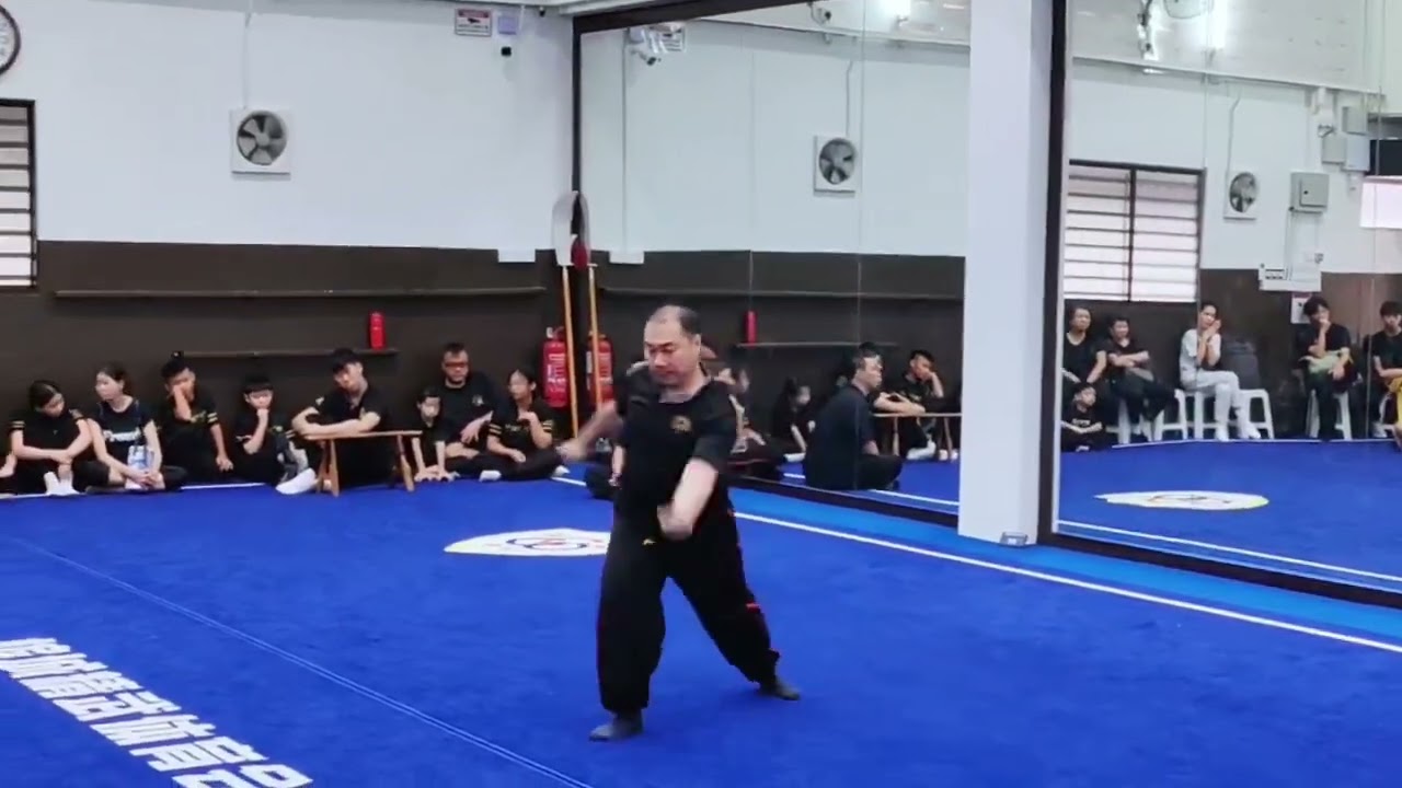 蛇猫鹤混形拳 #岭南洪拳 