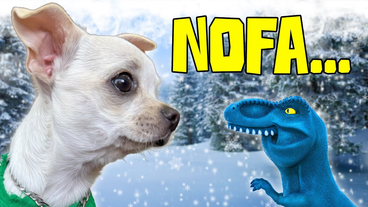 VLOG DE ADAPTAÇÃO DAS GÊMEAS CLARA E NEVE COM OS IRMÃOS!