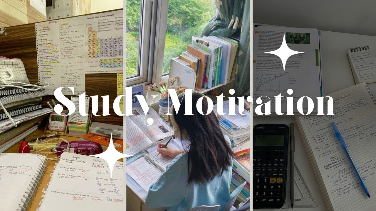 Study motivation for you 💯📚| Tiktok compilation #7