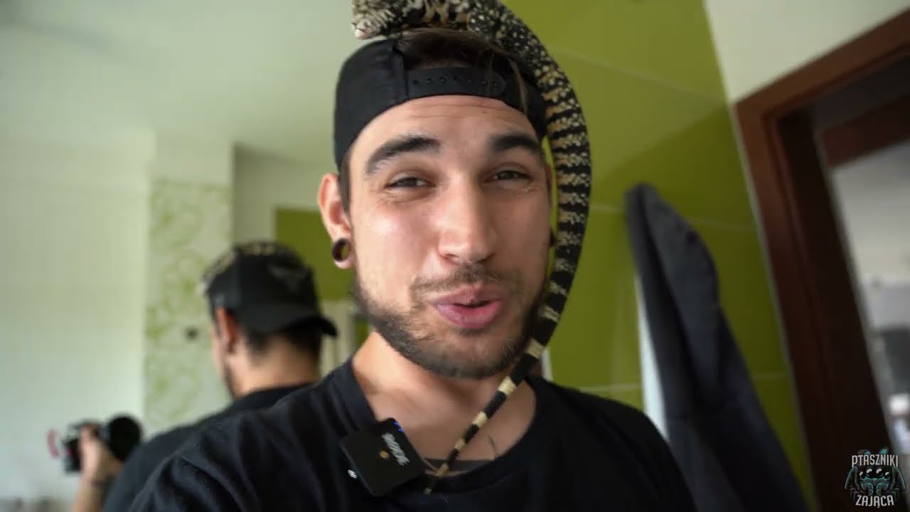 Carlos woli borówki  😅 / Salvator merianae