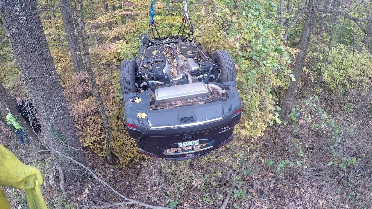 Rogue Tator   Fishing In The Woods