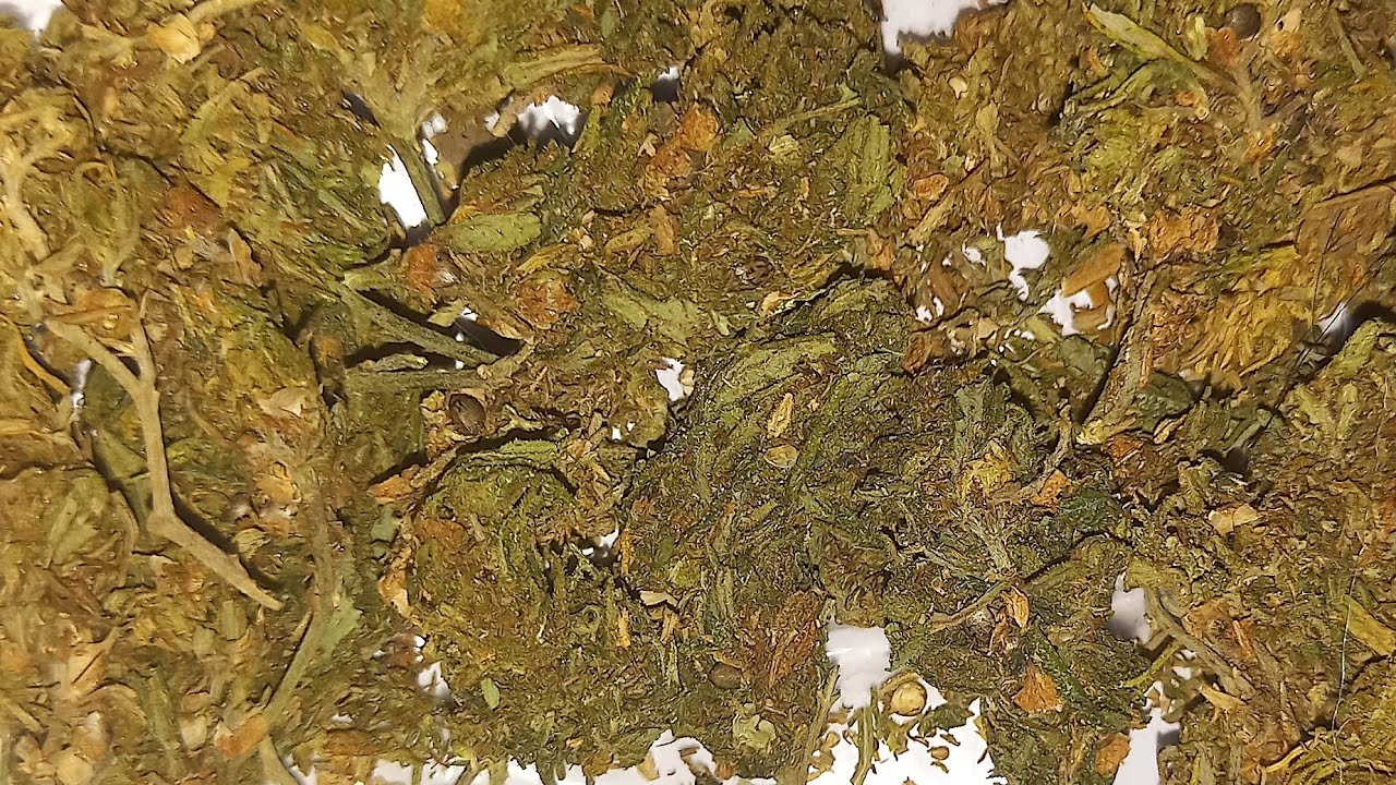 New strains sweet flavours legalize cannabis Nepal jay sambhoo peace ✌️ &hearts;️ राम्रो गुणस्तरको गांजा