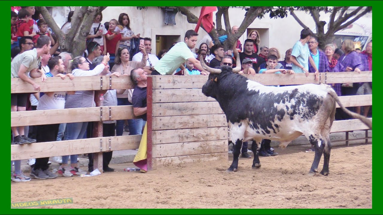 FRÉSCANO ( ZARAGOZA ) TARDE VACAS EN PLAZA ( DOMINGO 15 OCTUBRE 2023 ) GANAD.EL RUISEÑOR
