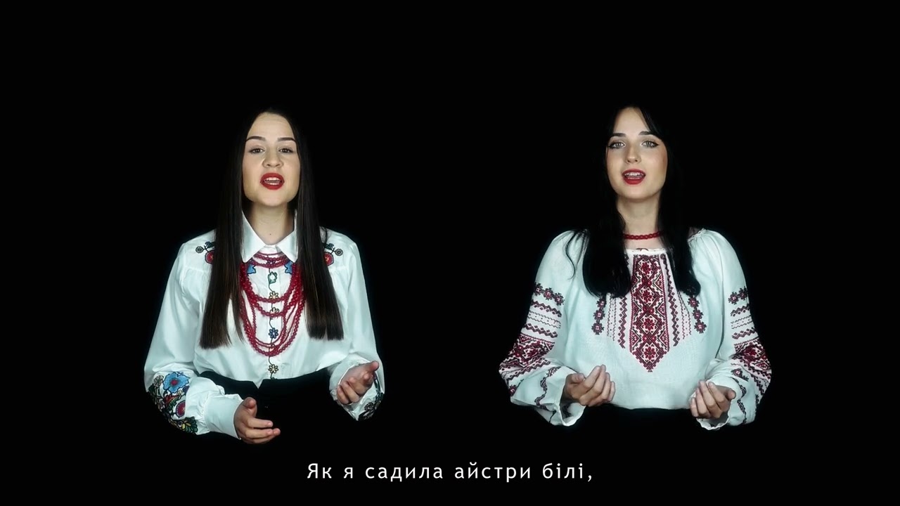 В саду осіннім айстри білі