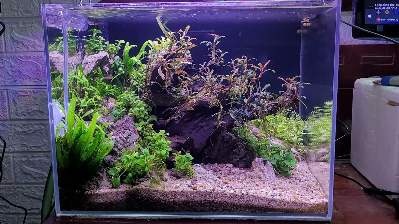 Reivew đèn led kẹp mini Skyled WGRB