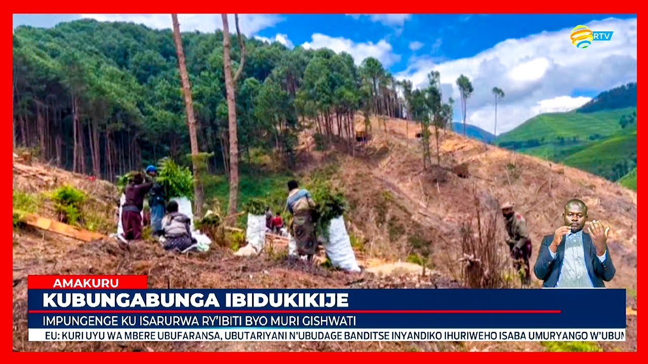 Nyabihu: Barasaba ko gusarura ishyamba ry'ubuhumekero bwa Gishwati byakwitonderwa