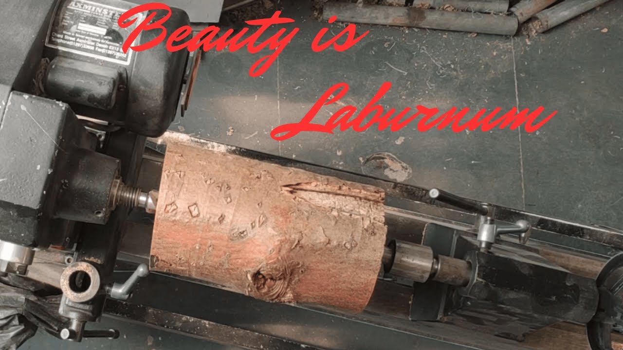 Wood Turning - Beauty Is Laburnum.