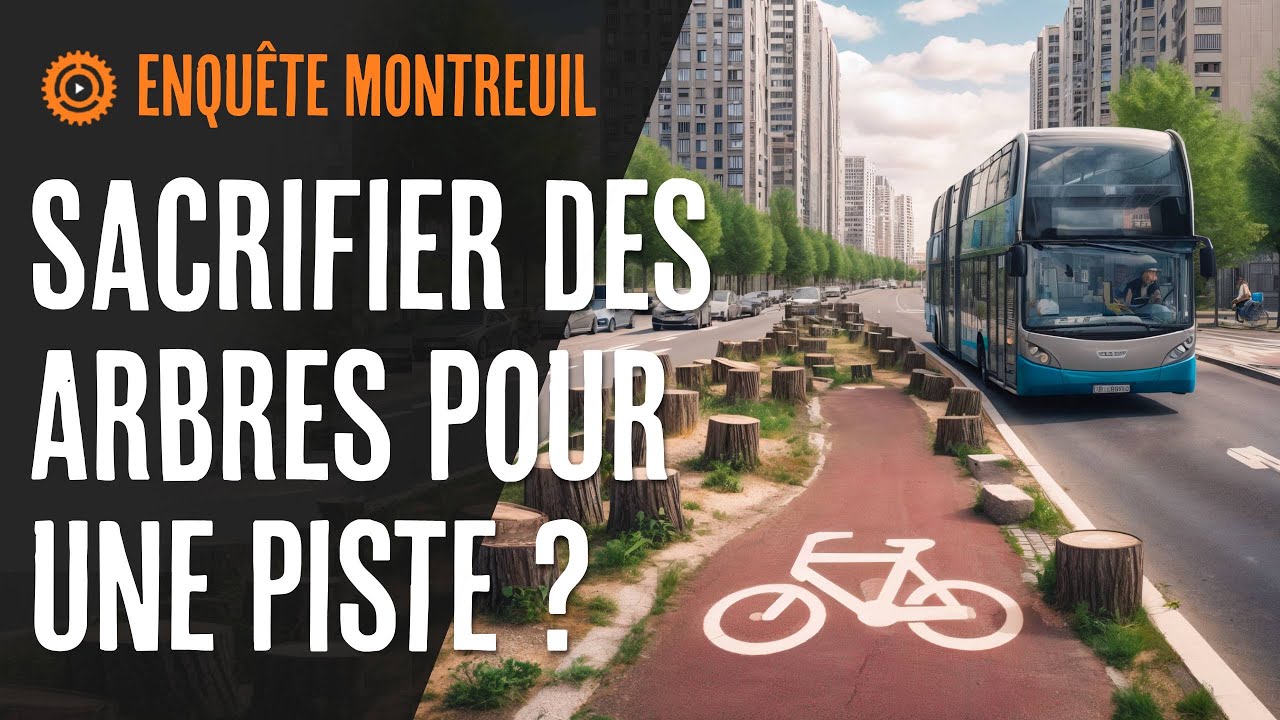 Des arbres abattus pour une piste cyclable &agrave; Montreuil ?