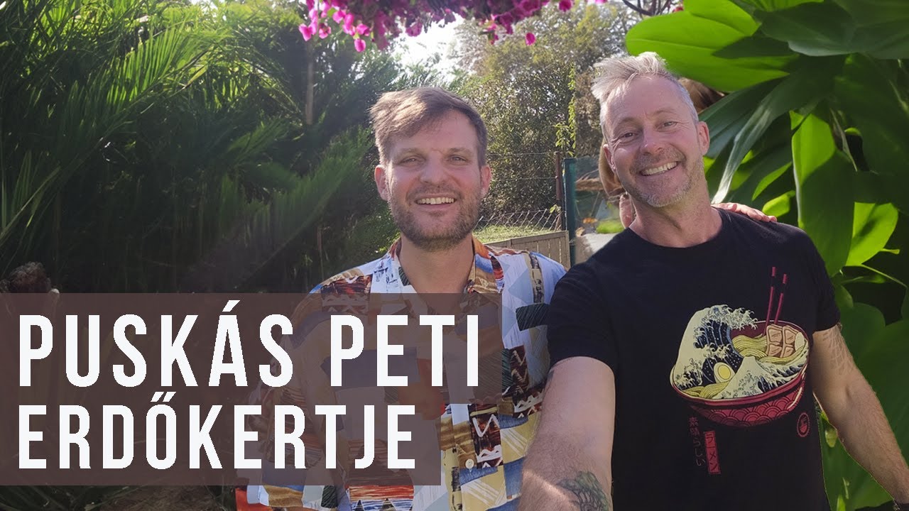Puskás Peti erdőkertjében jártam | kert TV