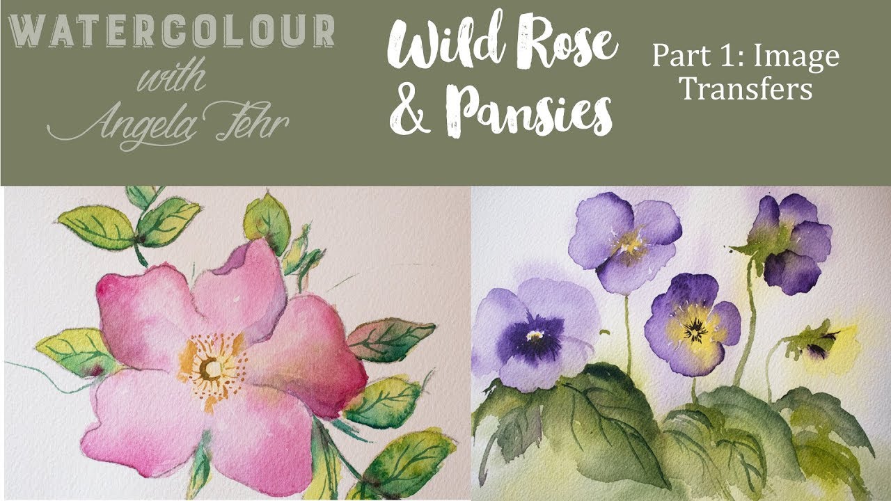 Part 1: How to Paint Wild Roses & Pansies in Watercolour with Angela Fehr, Image Transfer