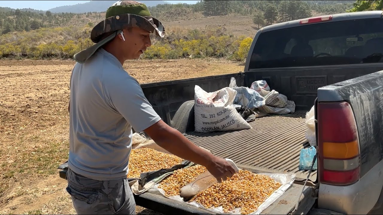 Inoculación de semilla