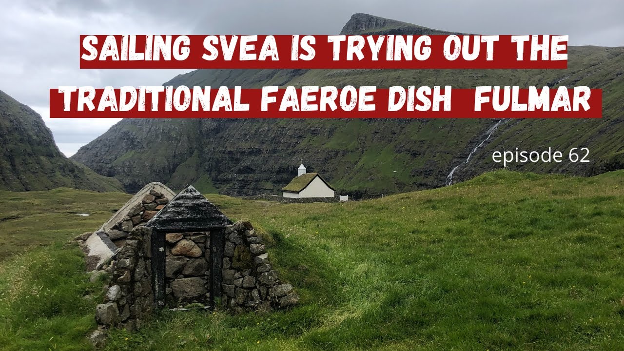 Sailing Svea is trying out a traditional Faeroe recipe, fulmare bird.