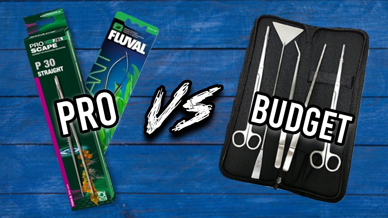 Are Professional Aquarium Tools Worth the Money?