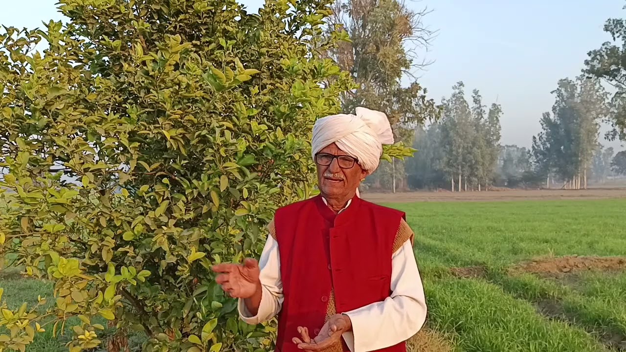 5लाख खर्च करके दहेज का केश करके मांगते हैं 50लाख बेटी की शादी जैसे पवित्र रिश्ते को कुछ लोगों ने धंध