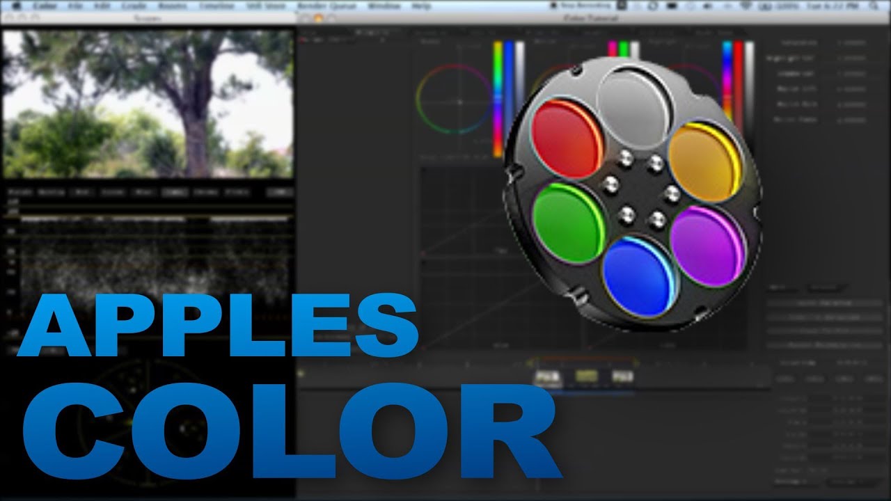 Learn the basics of Apple's COLOR!