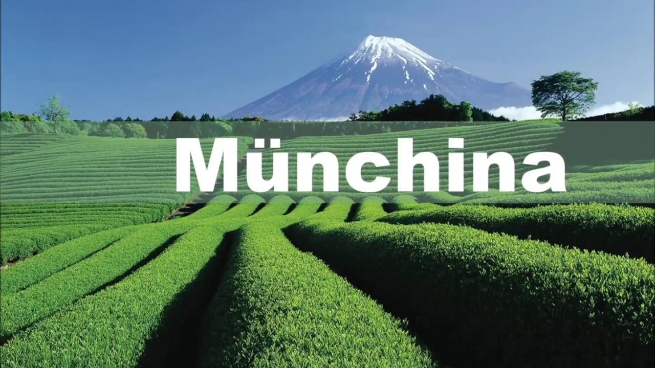 Japan Privatreisen mit deutscher Reiseleitung, pers&ouml;nliche Betreuung, Beratung & Durchf&uuml;hrung