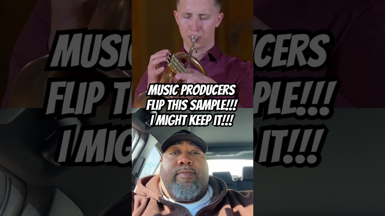Music Producers - Can you Flip this Sample! #shorts #sample #sampletypebeat