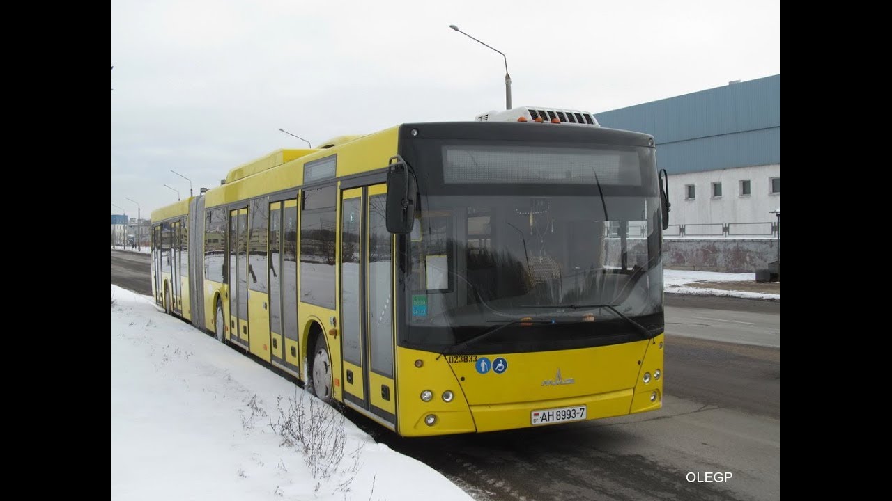 Автобус Минска МАЗ-215,гос.№ АН 8993-7 (09.08.2017)
