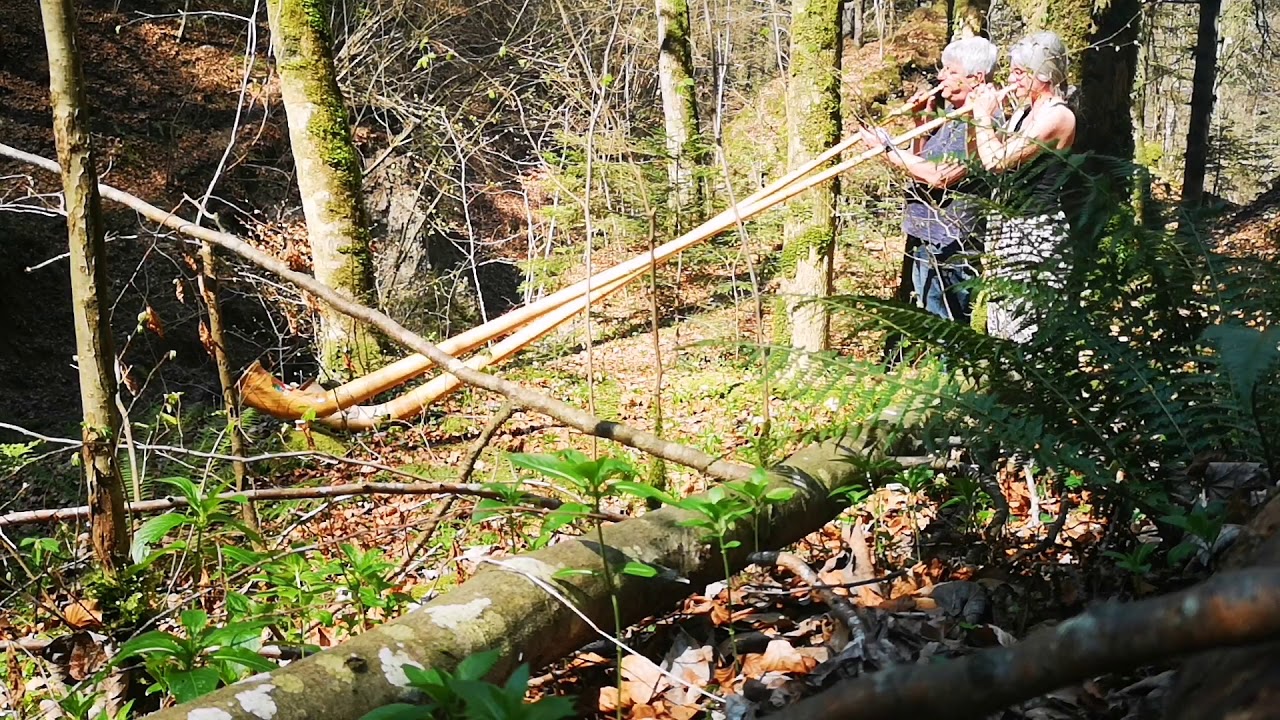 Alphorn - Amazing Grace