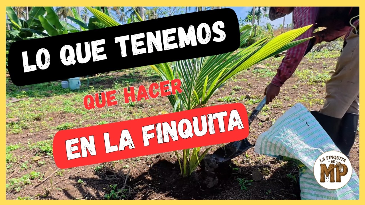 En La Finquita Hay Que Hacer de Todo