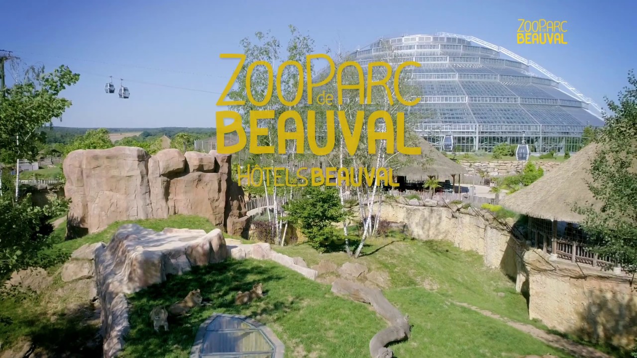 Beauval, la passion animale !