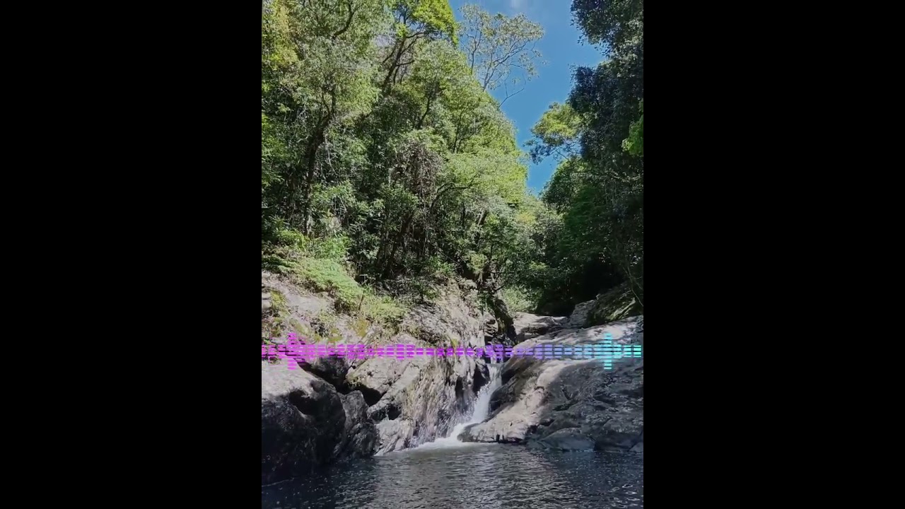 A FOSS 🎶Reprise 🇳🇨🔥