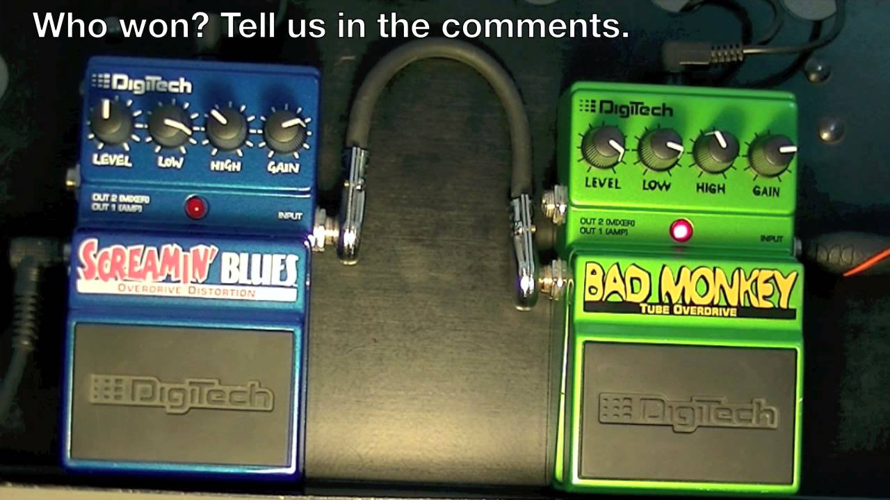 Overdrive shoot out! Digitech Screamin' Blues vs. Bad Moneky