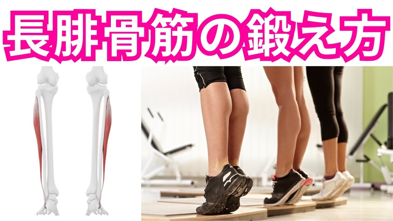 【長腓骨筋の効果的な鍛え方】足首の安定化に欠かせない「長腓骨筋」の運動療法・エクササイズ方法！