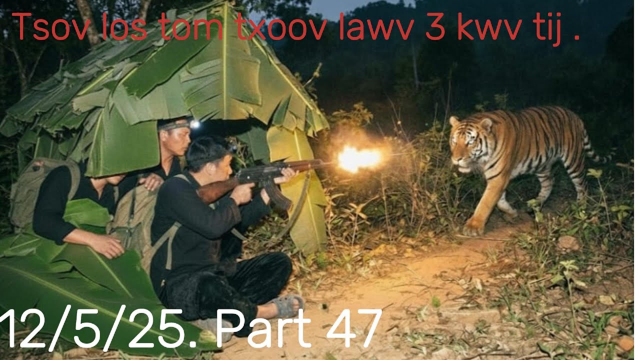 Txoov lawv 3 kwv tij mus ua luam rau sab thaib teb raug tsov tom.
