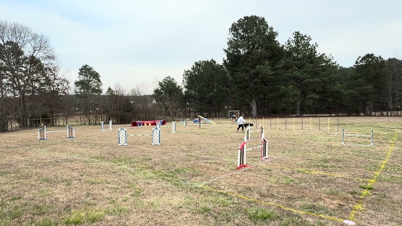 Ember Jumpers 2 Week 186 80x60