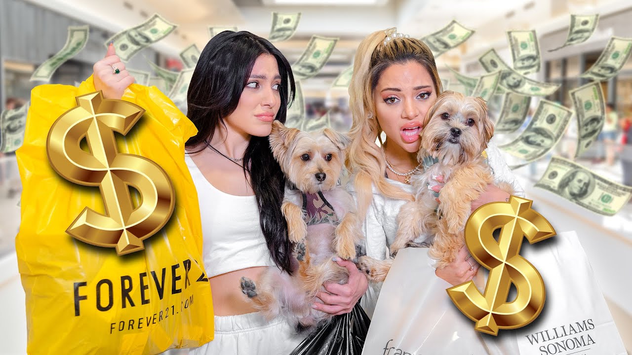 We Bought Everything our Dogs Touched