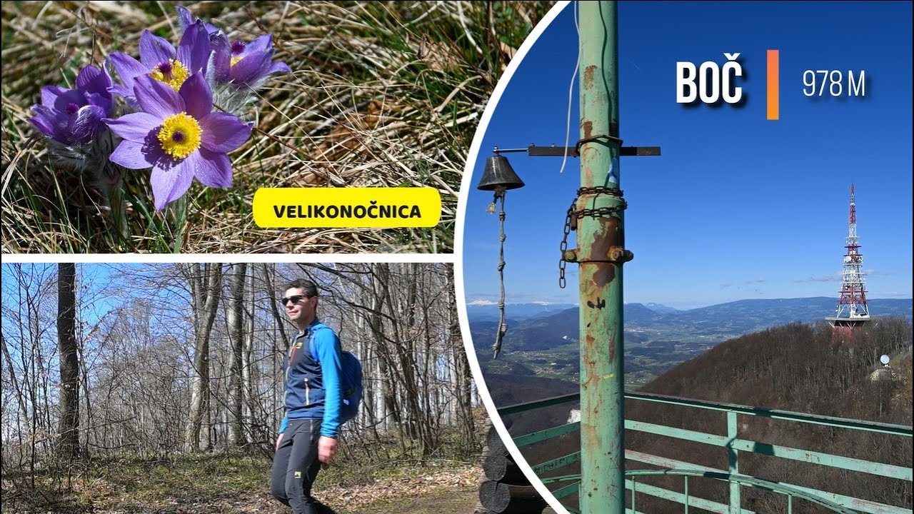 Vzpon na BOČ, pod vrhom VELIKONOČNICA |Very special pulsatilla grandis on Boč, Slovenia|