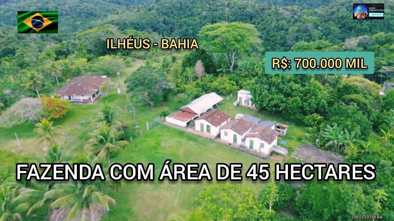 Sítio a venda,linda propriedade com cacau, frutíferas, nascentes de água,45 HECTARES 