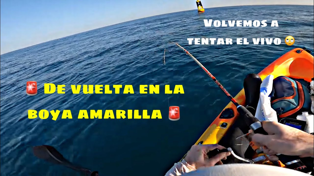 🔥 VUELTA A LA BOYA AMARILLA 🔥 Pesca a jigging, al vivo y curricán en kayak 🛶 | PESKAY 🎣