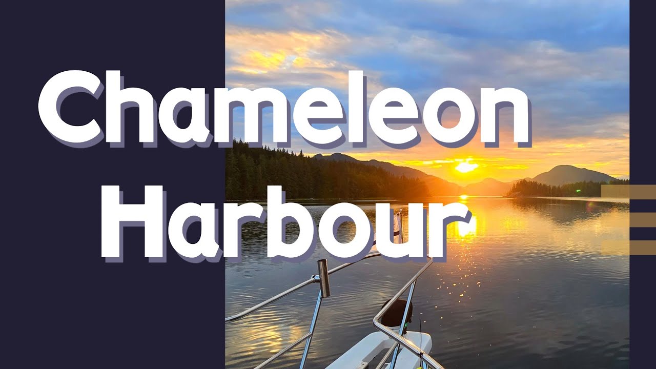 Approach and Anchoring at Chameleon Harbour BC