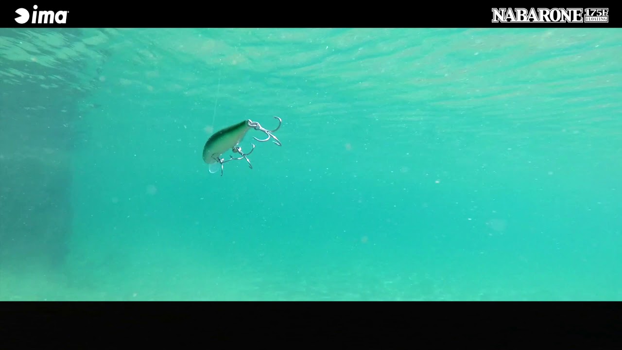 NABARONE175F S スイム動画