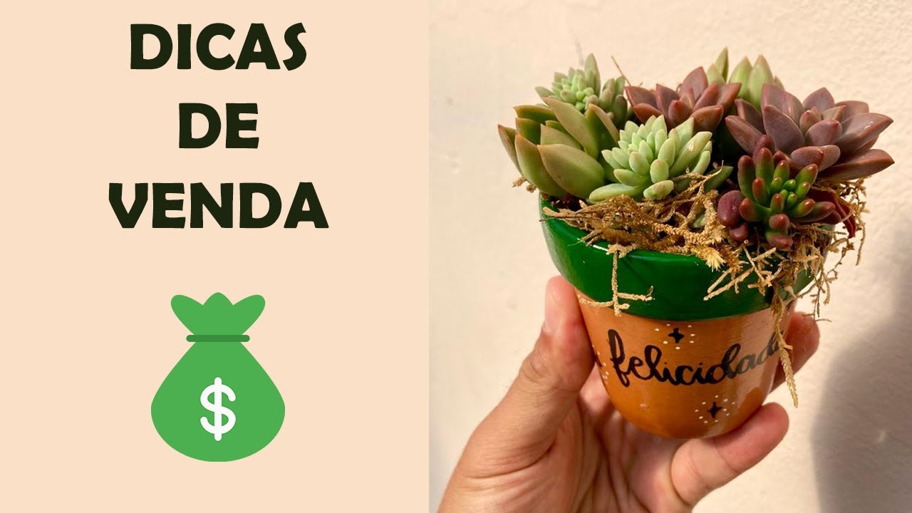 ARRANJO DE SUCULENTAS + DICAS DE VENDAS 🍀