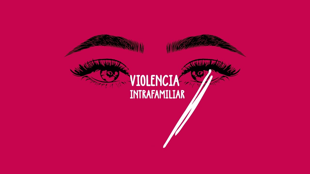 ¿Qué se entiende por Violencia Intrafamiliar en Chile? - Ley 20.066