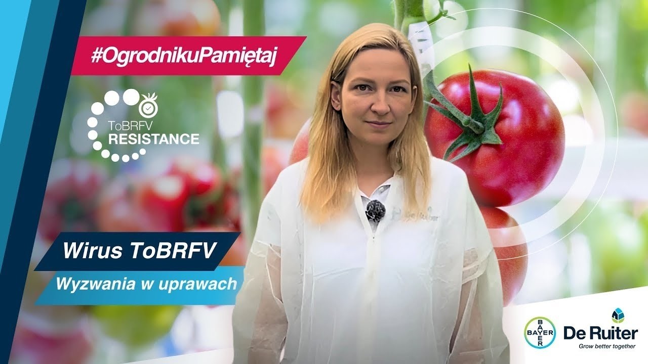 #OgrodnikuPamiętaj! ToBRFV nie zniknął, my też nie zwalniamy tempa!