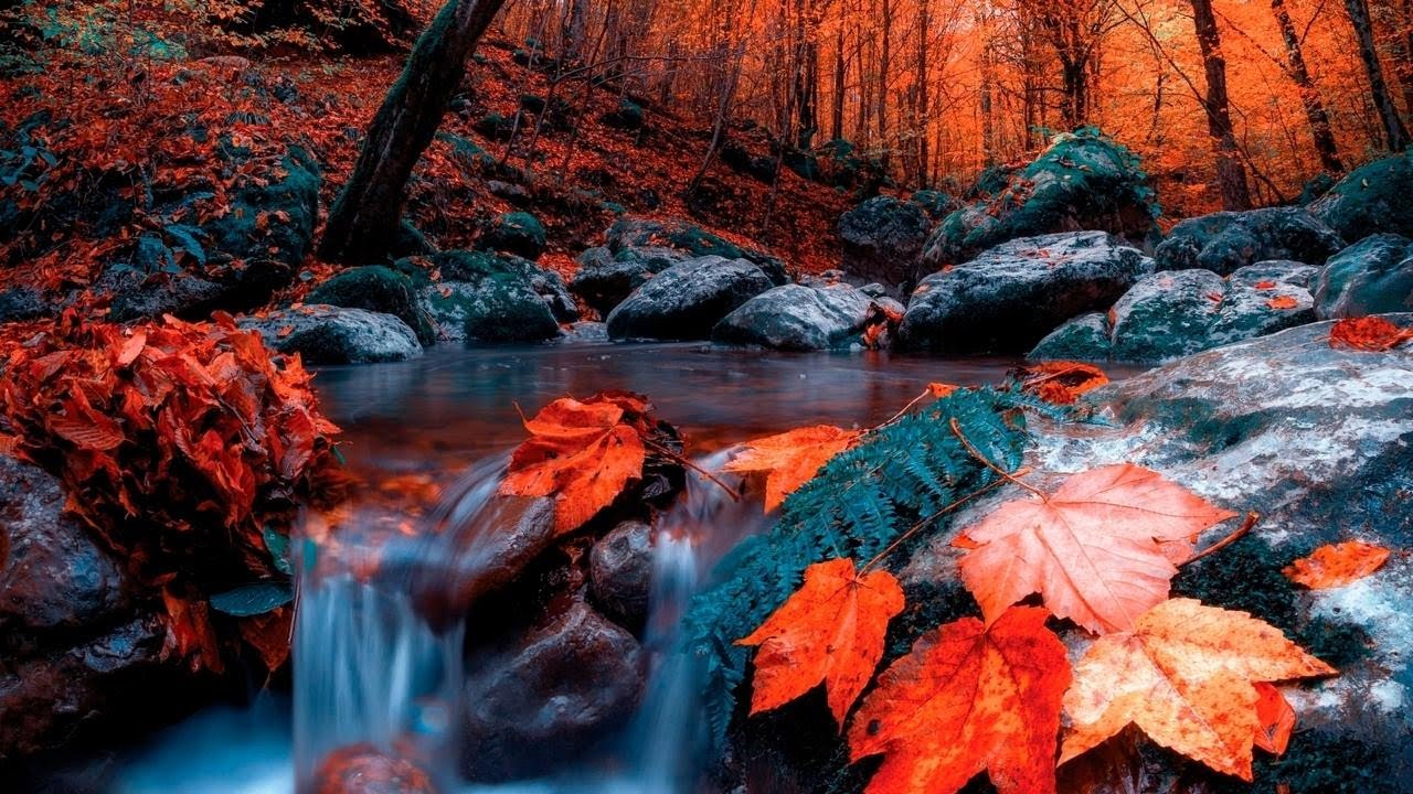 Relaxing River Sounds - Peaceful Forest River - 12 Hours Long - Black Screen  - Nature Video