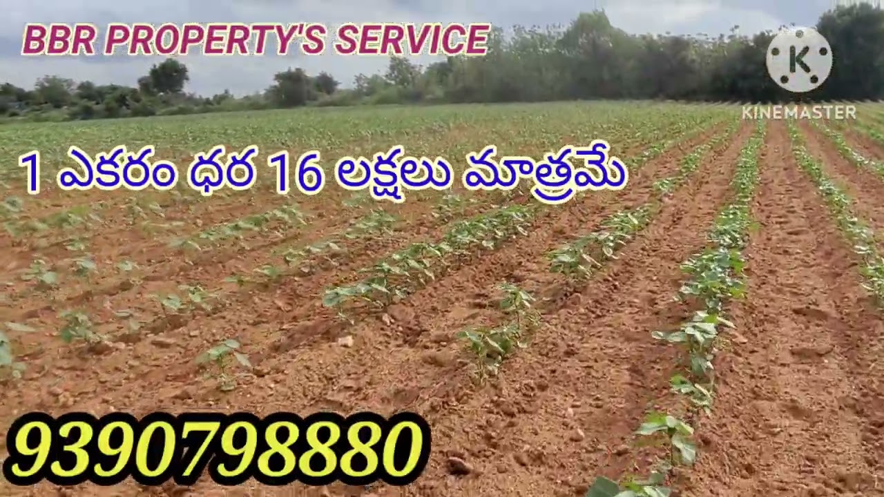2 ఎకరాల వ్యవసాయ భూమి 1 ఎకరం 16 లక్షలు నర్మెట మండలం జనగాం డిస్ట్రిక్ట్ తెలంగాణ  9390798880