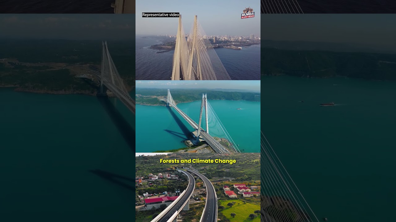 New Coastal Corridor: From Thane to Virar in a Flash
